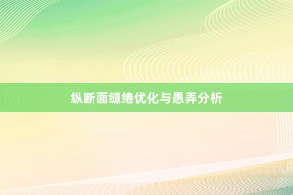 纵断面缱绻优化与愚弄分析