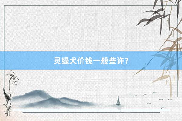 灵缇犬价钱一般些许？