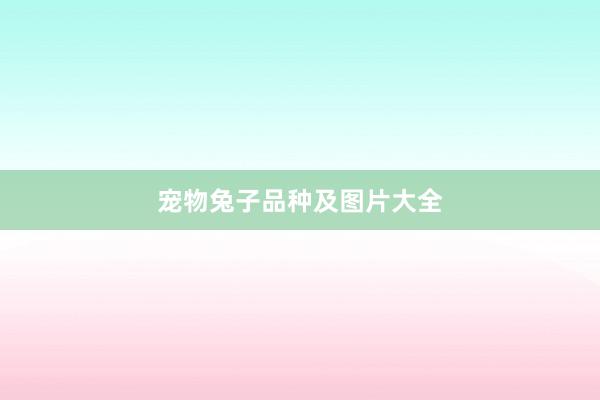 宠物兔子品种及图片大全