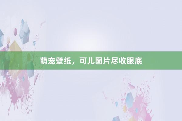 萌宠壁纸，可儿图片尽收眼底